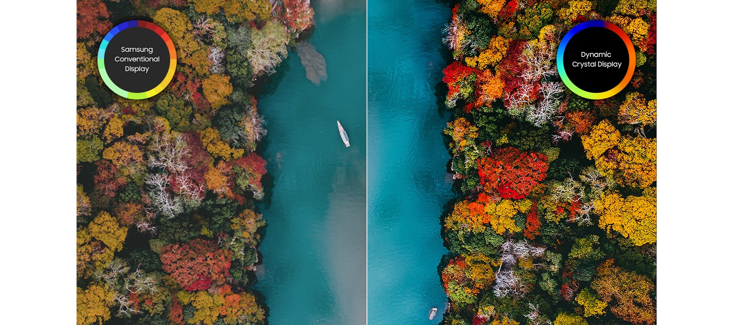 양쪽으로 다양한 색상의 숲이 있고 가운데 강이 있는 이미지입니다. 좌측은 일반 디스플레이로 색상의 선명도가 떨어져 탁해보이고, 우측은 다이내믹 크리스탈 디스플레이오 색상의 선명도가 명확하게 보여지고 있습니다.