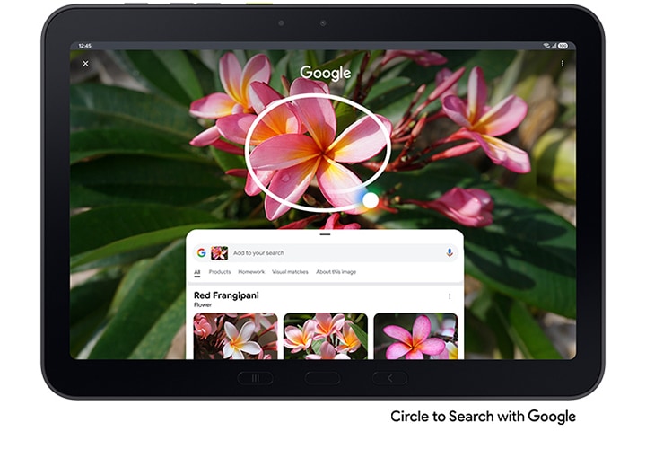 갤럭시 탭 액티브5 프로에서 구글 검색을 위해 화면 속 빨간색 꽃에 동그라미를 치는 모습입니다. 구글 검색 결과에는 레드 프랜지파니 꽃에 대한 정보가 나타납니다.