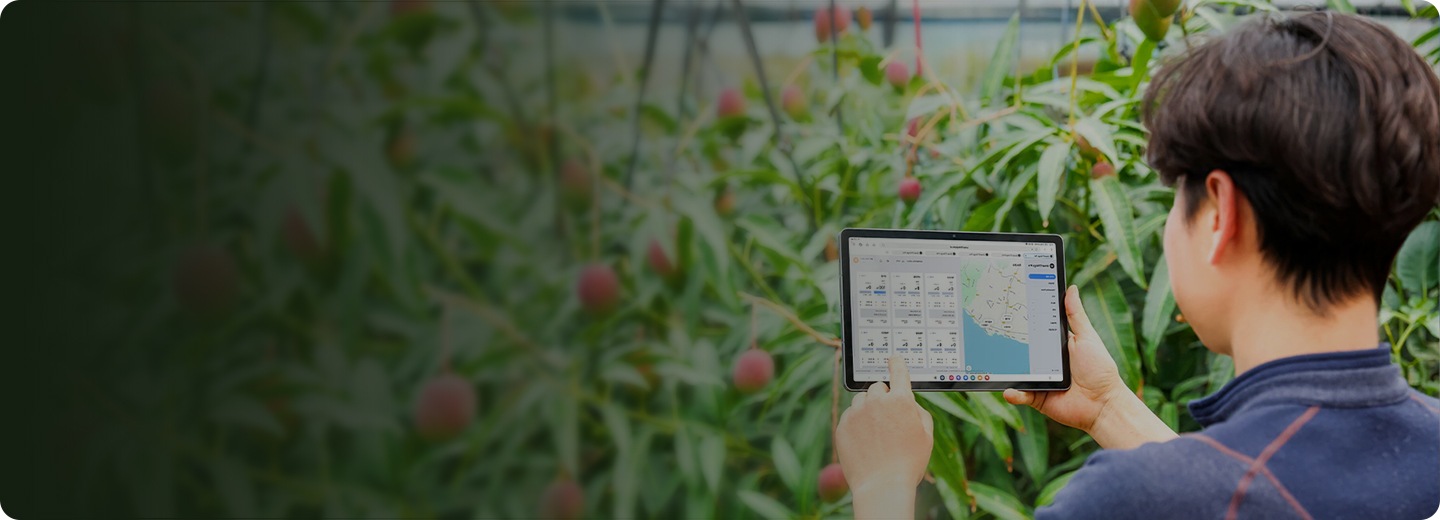 태블릿을 들고 농장을 원격 제어중인 사람의 뒷모습입니다.