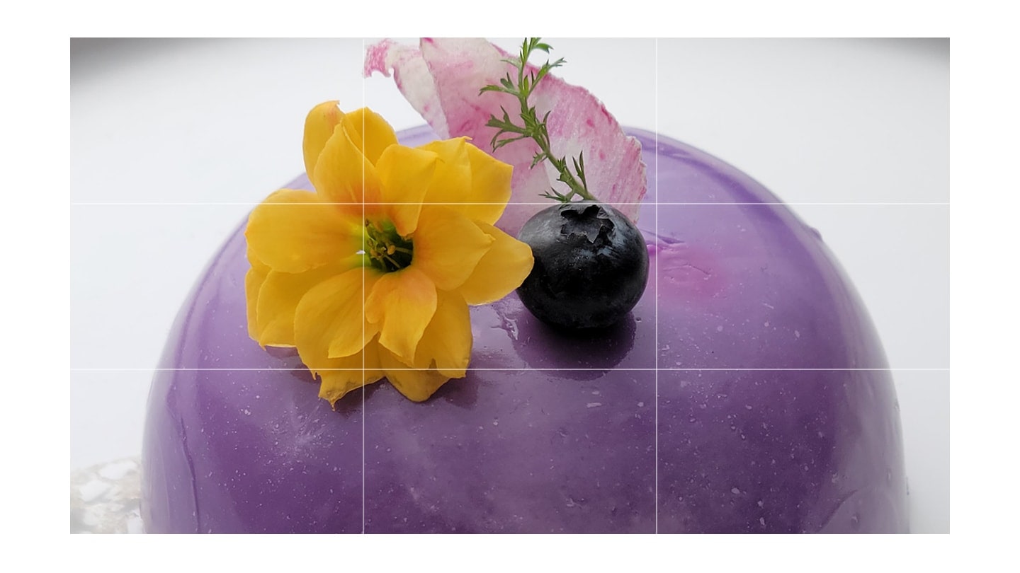 노란 꽃과 블루베리로 플래이팅 된 디저트 이미지입니다. 이미지에는 카메라 격자선이 겹쳐져 있습니다. 이는 확대해도 선명한 고화질을 강조하는 장면입니다.