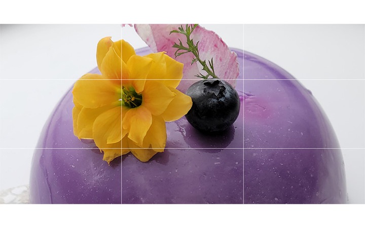 노란 꽃과 블루베리로 플래이팅 된 디저트 이미지입니다. 이미지에는 카메라 격자선이 겹쳐져 있습니다. 이는 확대해도 선명한 고화질을 강조하는 장면입니다.