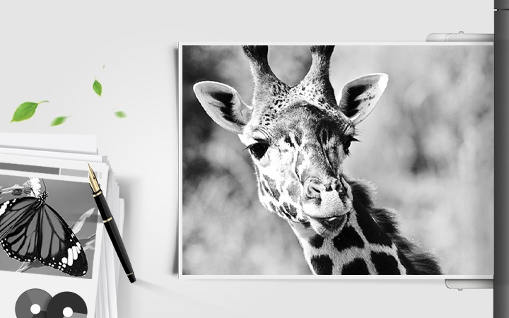 이미지 왼쪽 하단 부분에는 나비가 출력된 출력물이 쌓여있는 종이 더미 위에 올려져 있는 이미지가 있고 이미지 오른쪽 상단부분에는 기린의 얼굴 부분이 확대되어 출력된 이미지가 배치되어 있어 뚜렷한 명암 효과를 보여주는 이미지입니다.