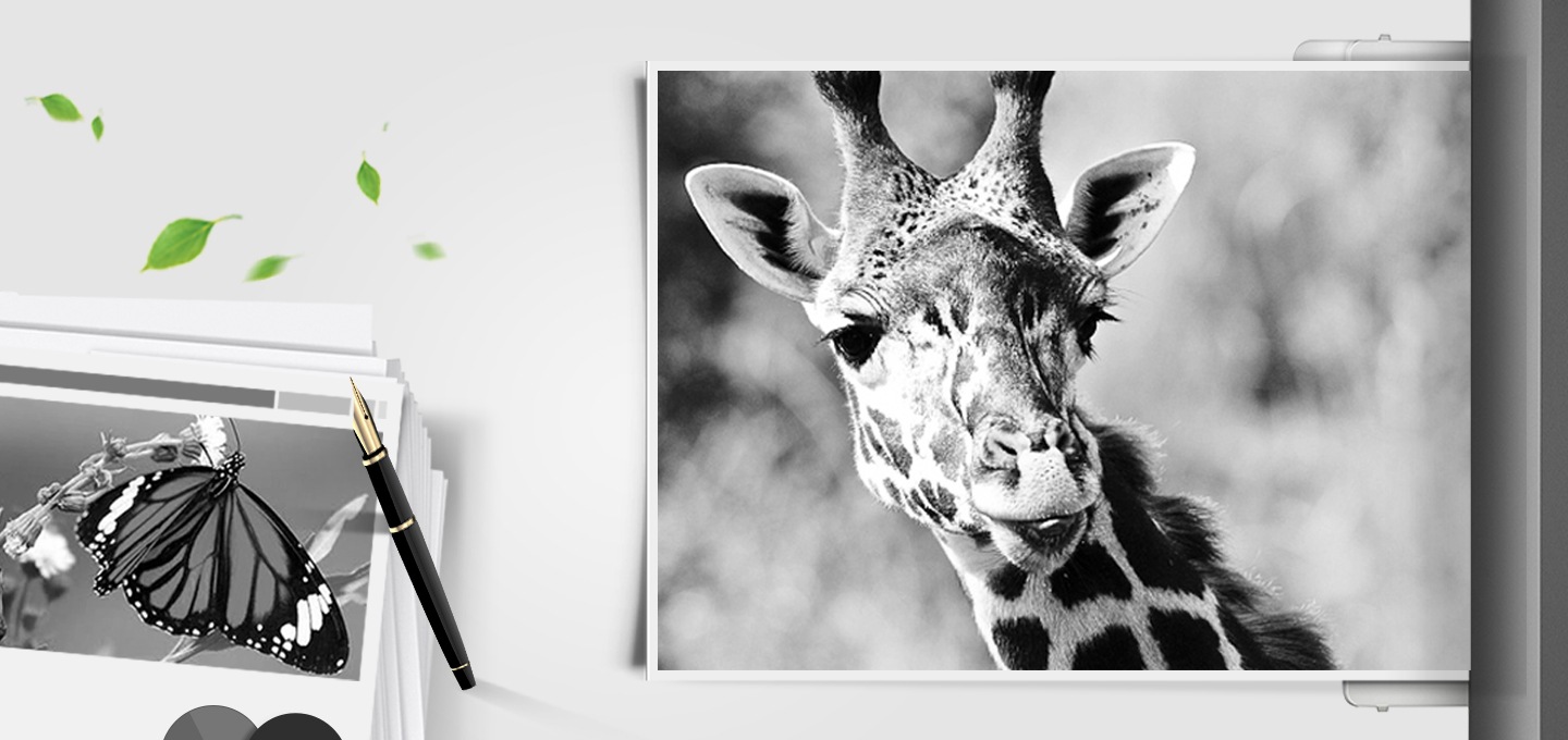 이미지 왼쪽 하단 부분에는 나비가 출력된 출력물이 쌓여있는 종이 더미 위에 올려져 있는 이미지가 있고 이미지 오른쪽 상단부분에는 기린의 얼굴 부분이 확대되어 출력된 이미지가 배치되어 있어 뚜렷한 명암 효과를 보여주는 이미지입니다.