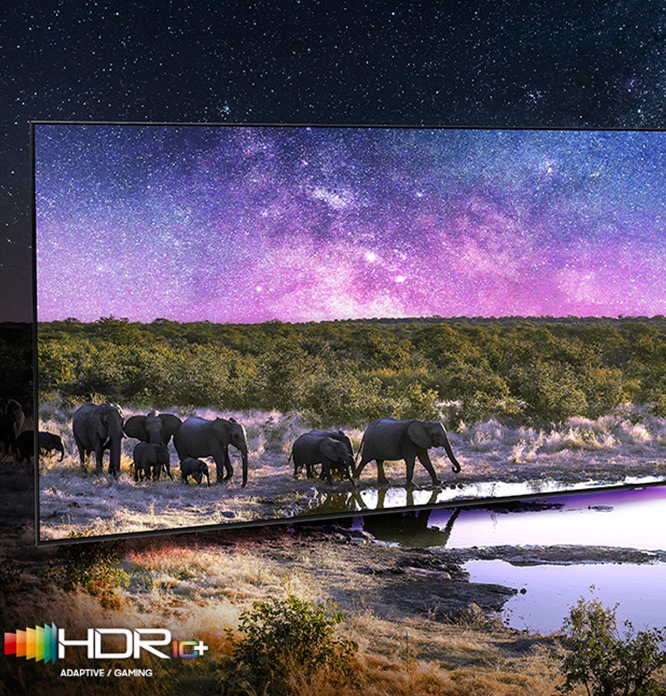 TV 화면 속 보랏빛 하늘과 코끼리가 보입니다. 우측 하단에는 HDR 10 + 로고가 있습니다.