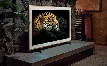 선반위에 TV 가 올려져있고 화면에는 동물들의 이미지가 보입니다.