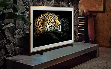 선반위에 TV 가 올려져있고 화면에는 동물들의 이미지가 보입니다.