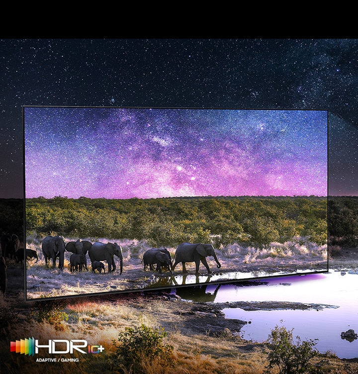 TV 화면 속 보랏빛 하늘과 코끼리가 보입니다. TV 주위로 보랏빛 하늘 및 자연의 사진이 빛 번짐 효과로 표현되어 있습니다. 우측 하단에는 HDR 10 + 로고가 있습니다.