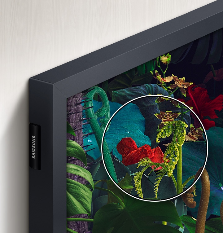 TV 왼쪽 상단을 확대한 이미지 입니다. 스크린에는 식물들이 보이고 있고, 그 중 붉은 꽃부분을 확대하여 보이고 있습니다.