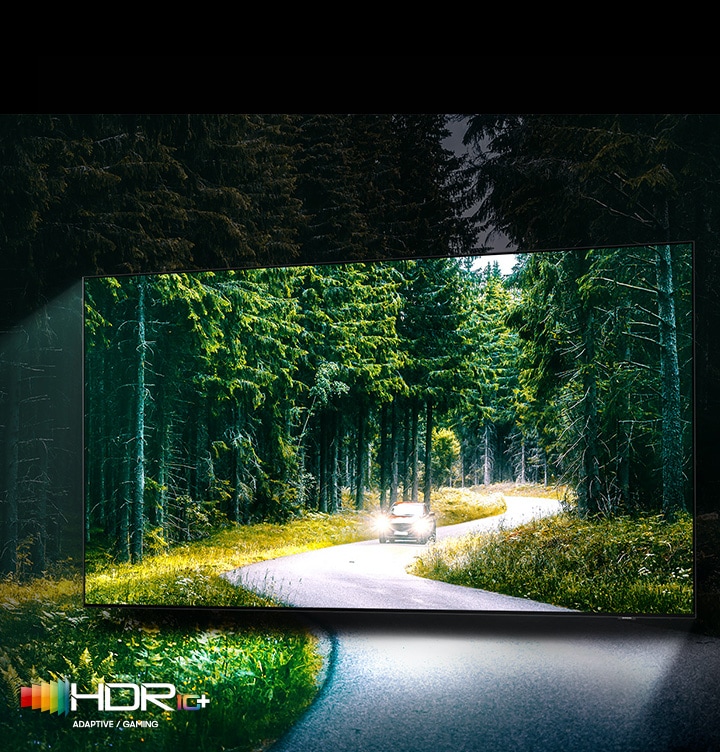 TV 화면에 숲과 자동차가 보이고 주위로는 TV 화면속 배경이 흐릿하게 보이고 있습니다. 좌측 하단에는 HDR 10+ 로고가 있습니다.