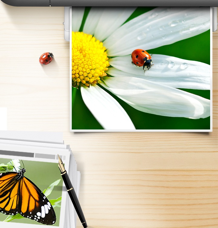 프린터에서 인쇄되는 사진을 보여주고 있다. 사진에는 꽃 그림과 그 위에 풍뎅이가 있으며 왼쪽에는 여러장의 인쇄물이 놓여져 있다.