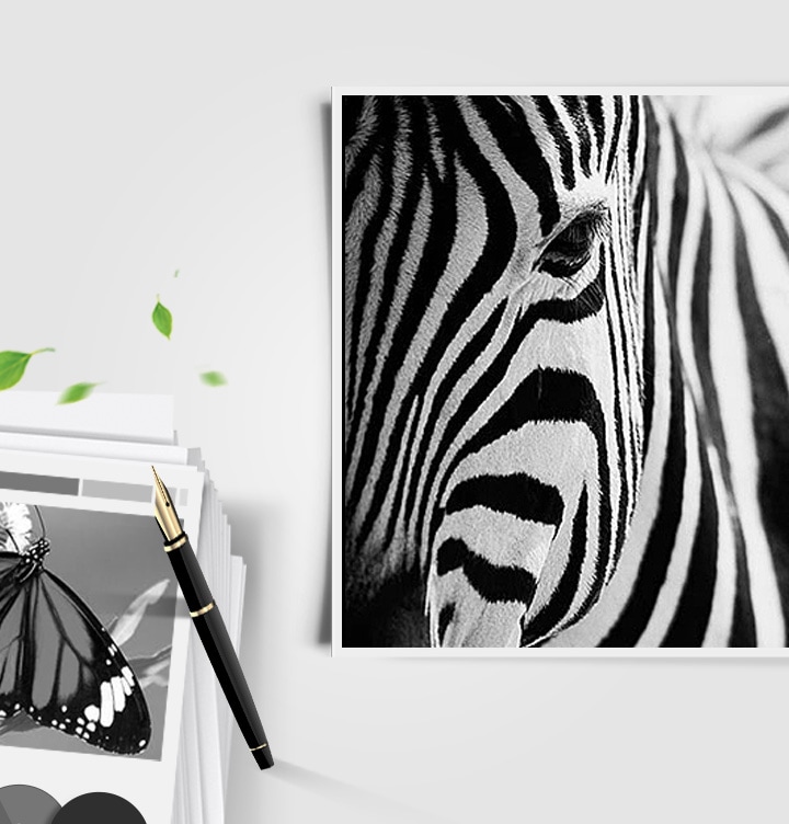 이미지 왼쪽 하단 부분에는 나비가 출력된 출력물이 쌓여있는 종이 더미 위에 올려져 있는 이미지가 있고 이미지 오른쪽 상단부분에는 얼룩말 얼굴 부분이 확대되어 출력된 이미지가 배치되어 있어 뚜렷한 명암 효과를 보여주는 이미지입니다.