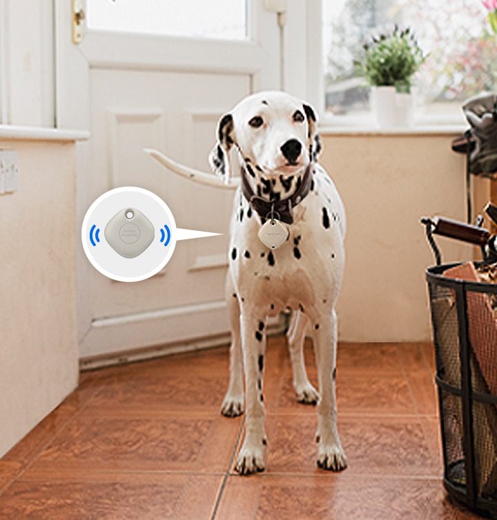 강아지 목에 스마트태그가 걸려져 있고, 스마트태그에 말풍선이 그려져 있습니다. 말풍선 안에는 스마트태그의 정면샷이 있고, 스마트태그 양 옆에 소리가 나는것을 알려주는 아이콘이 그려져 있습니다.