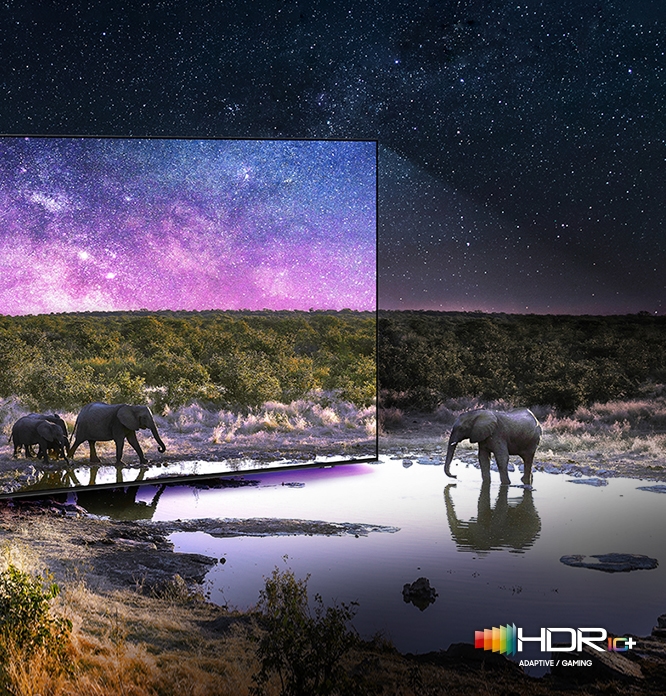보라색 배경에 코끼리 세 마리가  웅덩이에서 물을 마시고 있는 장면을 색다르게 디테일한 HDR+기술로 표현하고 있어 황홀한 느낌을 받게 될 것입니다.  