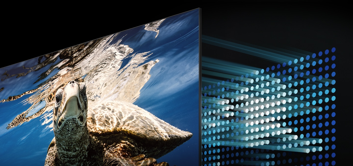 TV 화면 속에서 거북이가 헤엄지는 바닷속이 선명하게 보여지며, 그 뒤로 퀀텀 기술을 표현하고 있습니다.