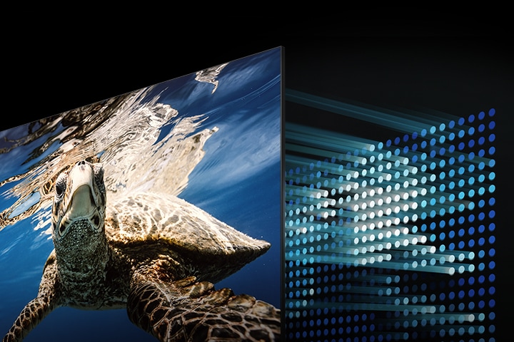 TV 화면 속에서 거북이가 헤엄지는 바닷속이 선명하게 보여지며, 그 뒤로 퀀텀 기술을 표현하고 있습니다.