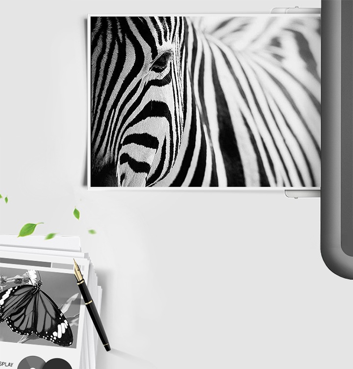 이미지 왼쪽 하단 부분에는 나비가 출력된 출력물이 쌓여있는 종이 더미 위에 올려져 있는 이미지가 있고 이미지 오른쪽 상단부분에는 얼룩말 얼굴 부분이 확대되어 출력된 이미지가 배치되어 있어 뚜렷한 명암 효과를 보여주는 이미지입니다.