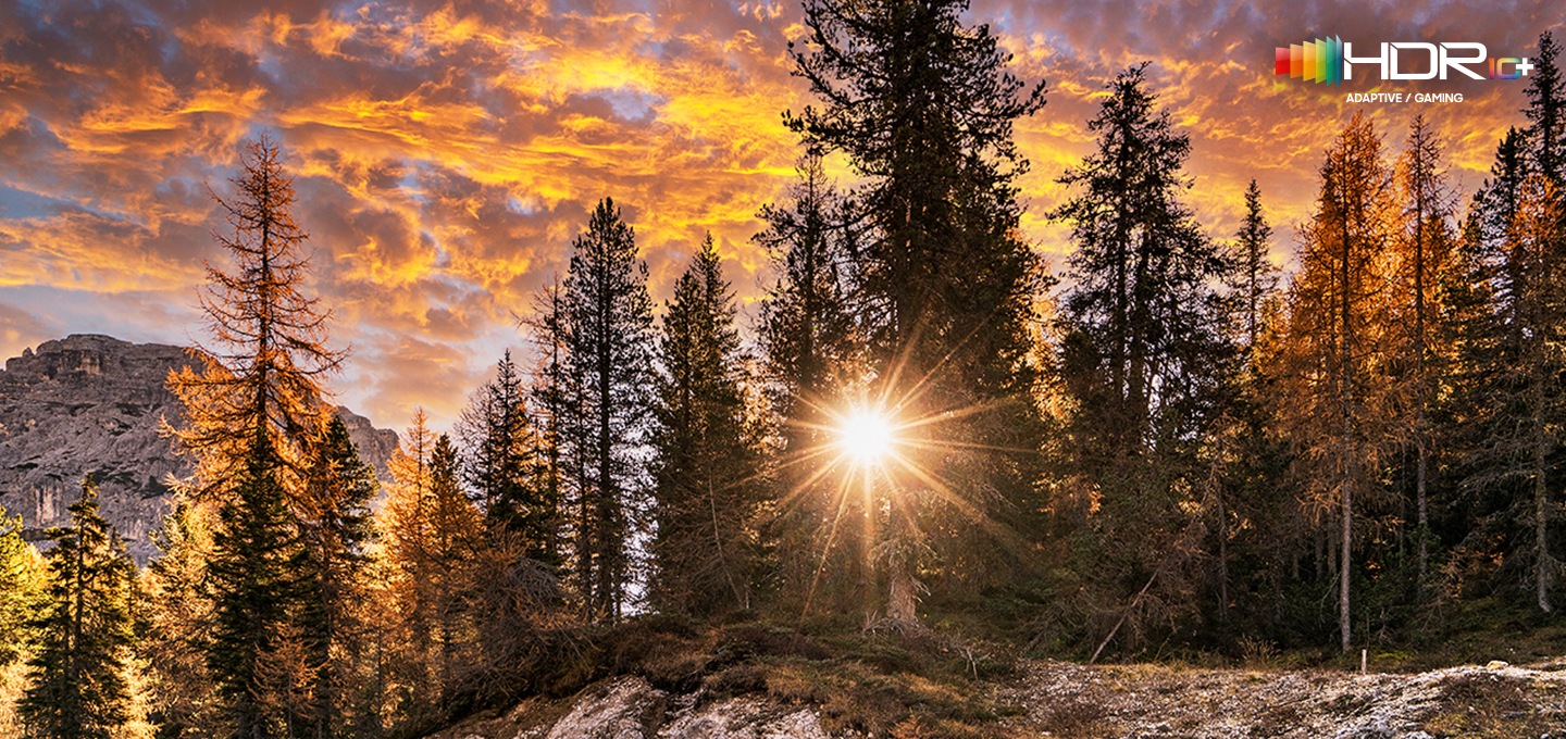 침엽수 사이로 저녁 노을 이미지가 선명하게 보여지고 있으며, 이미지 우측 상단에는 HDR 10+ 로고가 배치되어 있습니다.