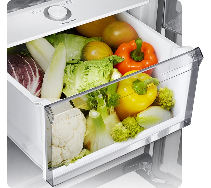 냉장고 내상 밀폐 야채실이 열려있고 그 안에 채소가 가득 들어있는 이미지입니다.