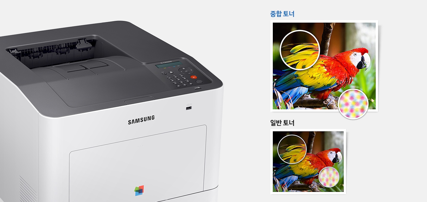 좌측에는 제품오른쪽으로 20도 돌아간 정면 이미지가 배치하여 있고 우측에는 중합토너와 일반토너로 인쇄된 앵무새 사진이 위에서 아래로 배치하여 있습니다. 각각 날개 부분을 확대하여 인쇄한 상태를 보여주고 있습니다.