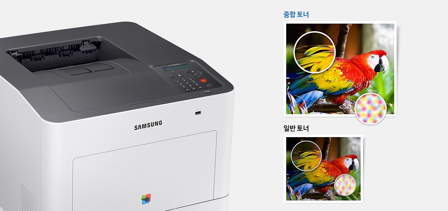 좌측에는 제품오른쪽으로 20도 돌아간 정면 이미지가 배치하여 있고 우측에는 중합토너와 일반토너로 인쇄된 앵무새 사진이 위에서 아래로 배치하여 있습니다. 각각 날개 부분을 확대하여 인쇄한 상태를 보여주고 있습니다.