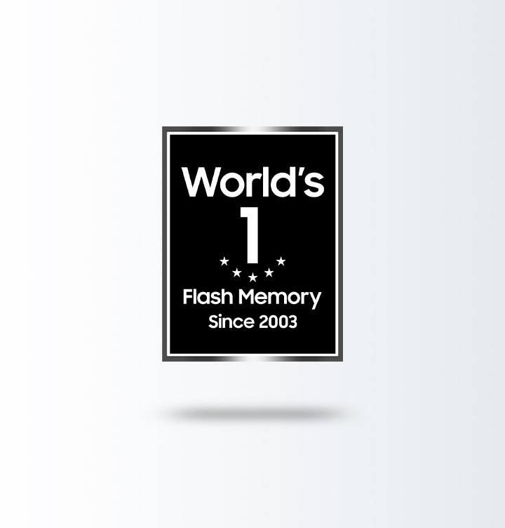WORLD's No.1 Flash MEMORY 로고가 노출되고 있습니다