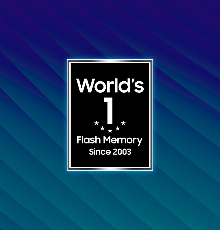 2003년부터 플래시 메모리 부문 세계 NO.1 임을 알려주는 이미지 입니다.