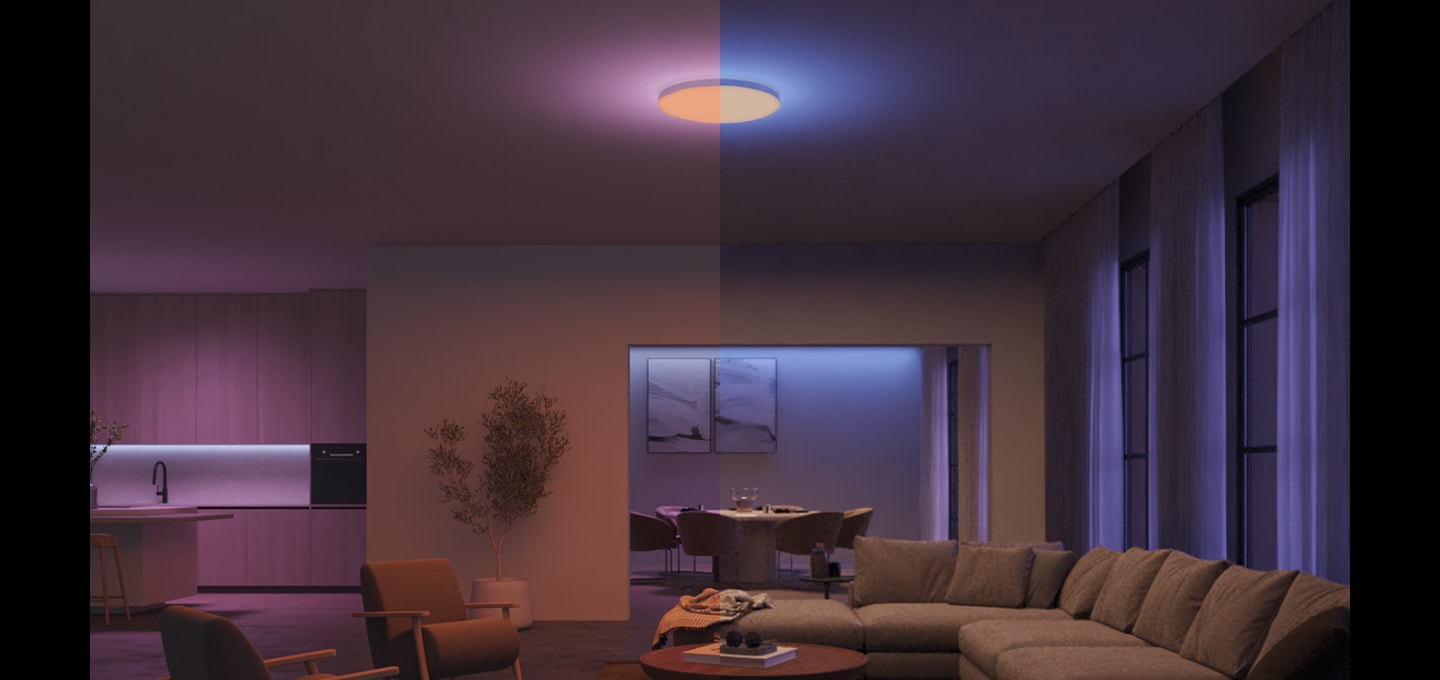 휴 컬러 앰비언스 다츄라 라운드