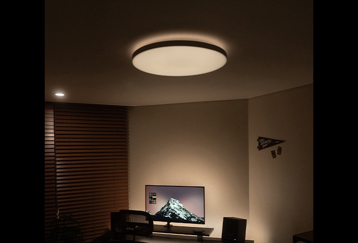 휴 컬러 앰비언스 다츄라 라운드