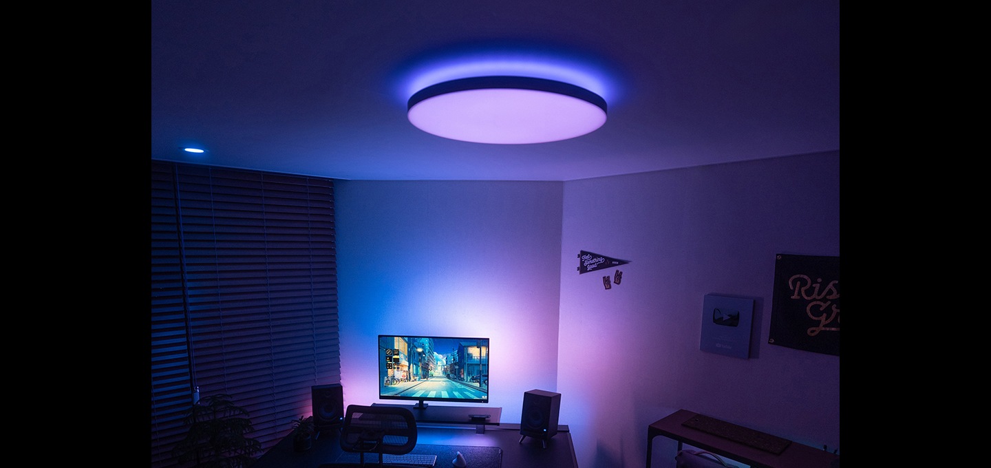 휴 컬러 앰비언스 다츄라 라운드