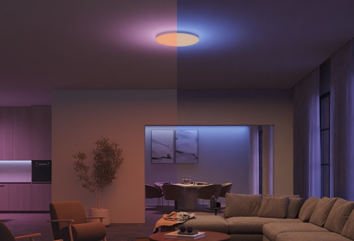 휴 컬러 앰비언스 다츄라 라운드