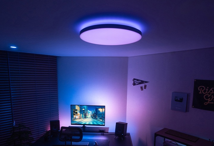 휴 컬러 앰비언스 다츄라 라운드