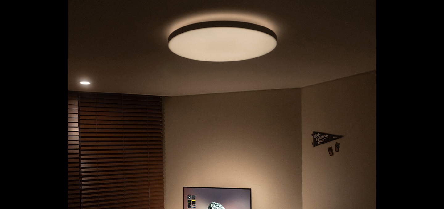 휴 컬러 앰비언스 다츄라 라운드