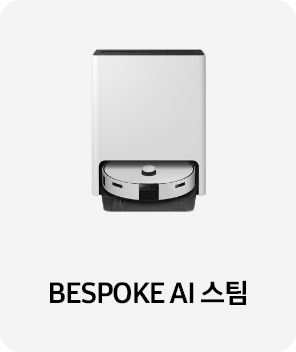 BESPOKE AI 스팀