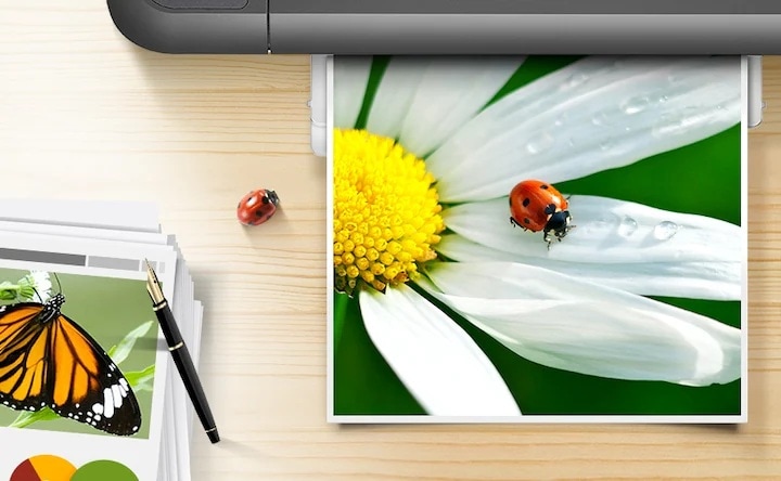 삼성 정품 토너의 뚜렷한 컬러와 깨끗한 선처리를 보여주는 컷으로, 출력물에 꽃과 무당벌레가 보이고 있습니다.