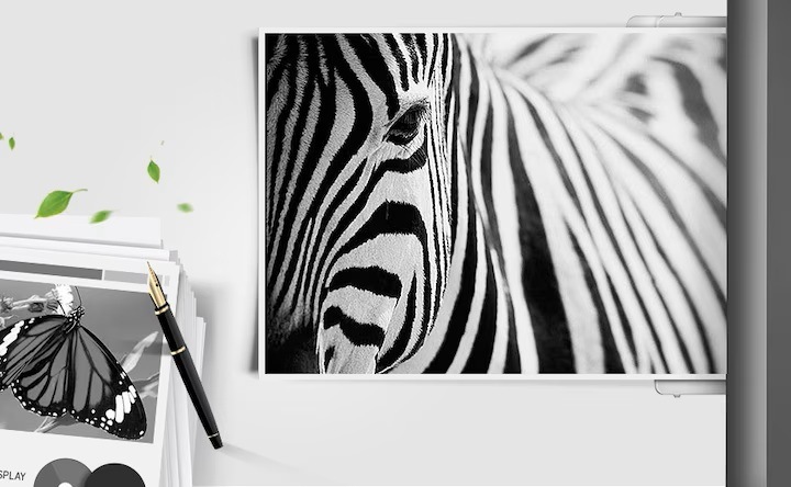 삼성 정품 토너의 뚜렷한 명암 효과와 깨끗한 선처리를 보여주는 컷으로, 얼룩말이 보이고 있습니다.