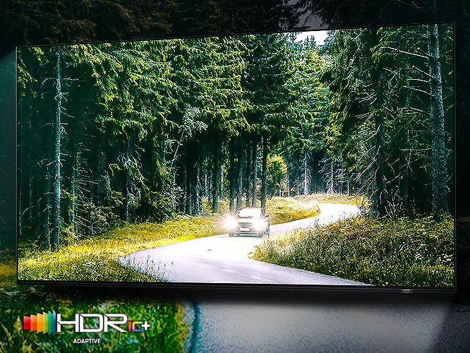 TV 화면에 숲과 자동차가 보입니다. 좌측 상단에는 HDR 10+ 로고가 있습니다.