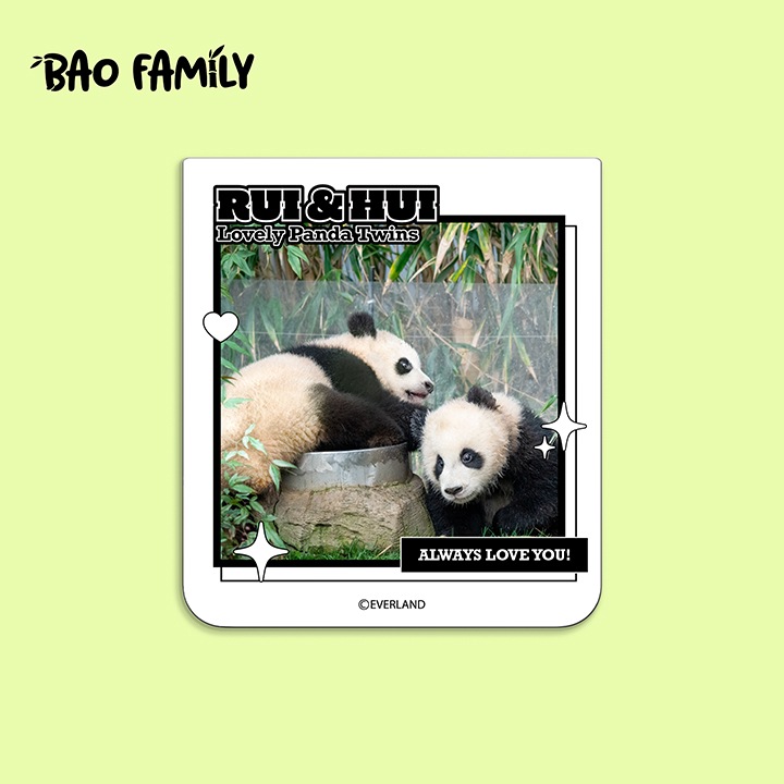 연한 초록색 배경에 갤럭시 Z 플립6 바오패밀리 플립수트 카드 정면 이미지가 이미지 중간에 보이고 있는 이미지입니다.