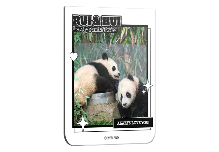 갤럭시 Z 플립6 바오패밀리 플립수트 카드가 오른쪽으로 20도 돌아간 정면 이미지가 이미지 중간에 배치되어 있는 이미지입니다.