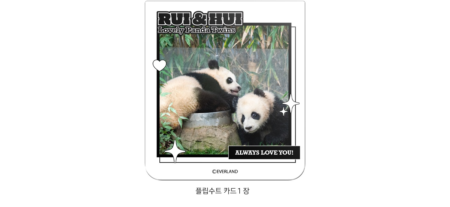 갤럭시 Z 플립6 바오패밀리 플립수트 카드가 이미지 중간에 배치되어 있고 하단에 ‘플립수트 카드 1장’ 텍스트가 쓰여 있습니다.