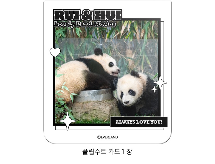 갤럭시 Z 플립6 바오패밀리 플립수트 카드가 이미지 중간에 배치되어 있고 하단에 ‘플립수트 카드 1장’ 텍스트가 쓰여 있습니다.