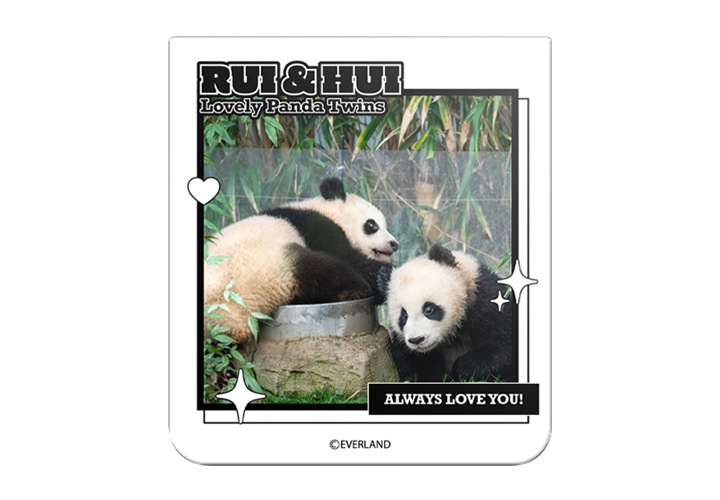 갤럭시 Z 플립6 바오패밀리 플립수트 카드를 장착 후 재생되는 영상을 보여주고 있습니다.