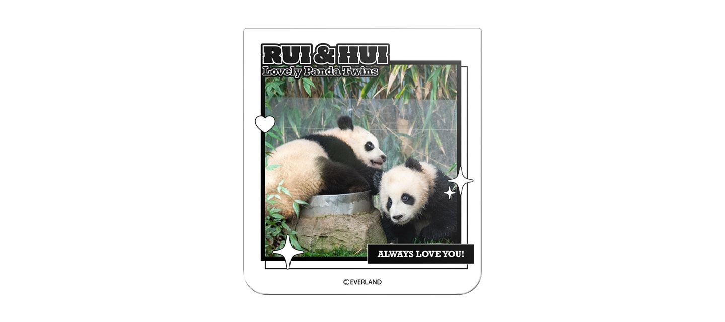 갤럭시 Z 플립6 바오패밀리 플립수트 카드를 장착 후 재생되는 영상을 보여주고 있습니다.