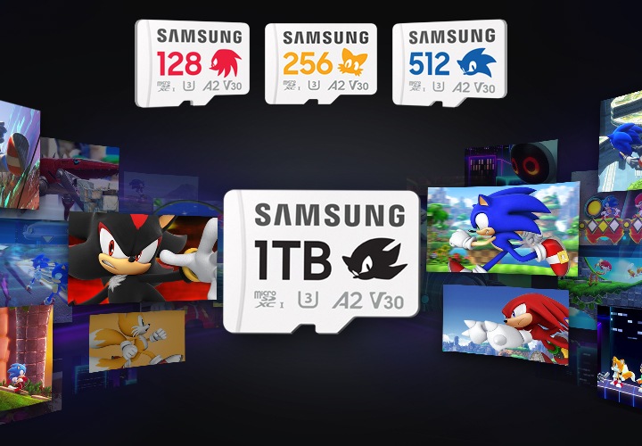 소닉의 다양한 활약상과 명장면들의 사진들이 라운드 형태로 보여지고 있습니다. 이미지 중간에는 섀도우의 마이크로SD 메모리카드 소닉 PRO Plus 1TB와 그 위에는 너클즈의 마이크로SD 메모리카드 소닉 PRO Plus 128GB, 테일즈의 마이크로SD 메모리카드 소닉 PRO Plus 256GB, 소닉의 마이크로SD 메모리카드 소닉 PRO Plus 512GB 제품과 함께 순서대로 보여집니다.