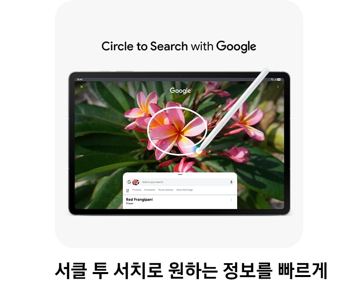 갤럭시탭 S10 FE 서클 투 서치 화면