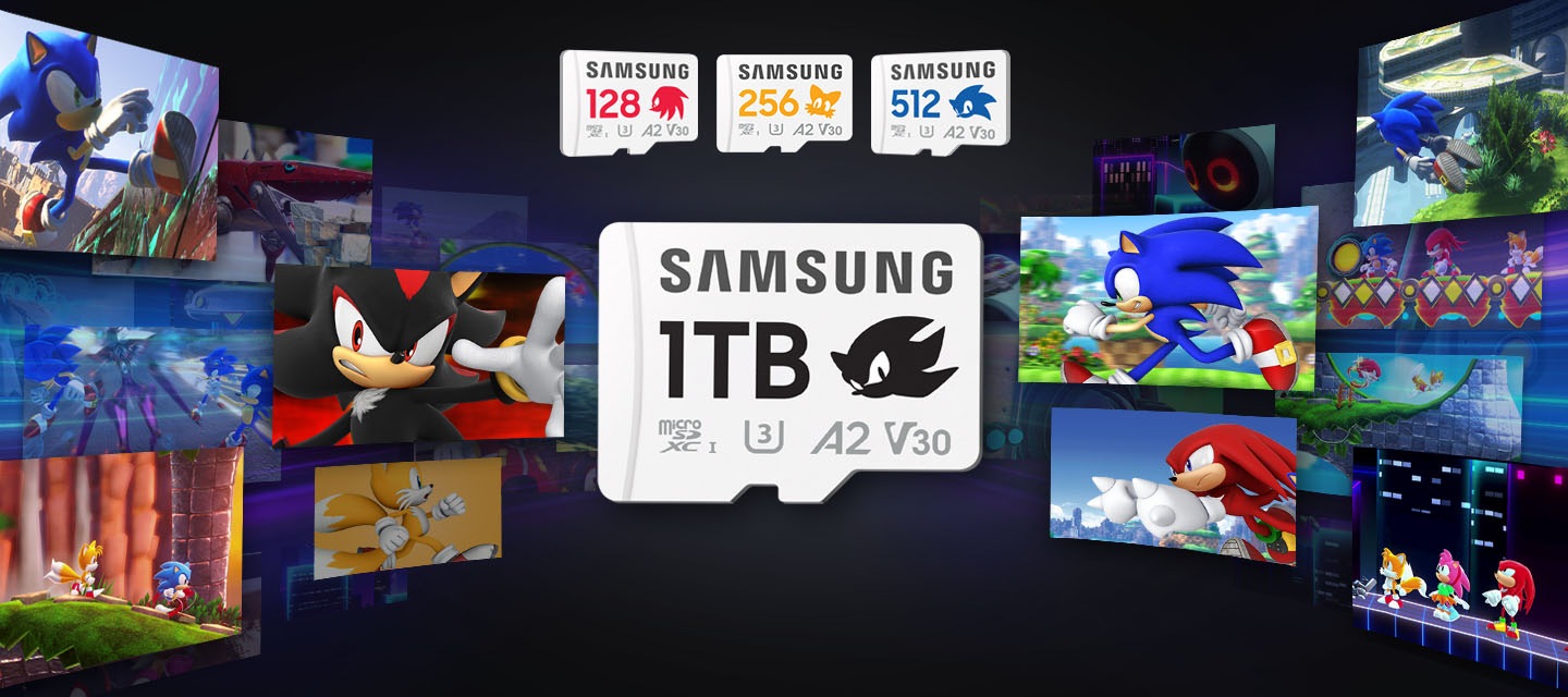 소닉의 다양한 활약상과 명장면들의 사진들이 라운드 형태로 보여지고 있습니다. 이미지 중간에는 섀도우의 마이크로SD 메모리카드 소닉 PRO Plus 1TB와 그 위에는 너클즈의 마이크로SD 메모리카드 소닉 PRO Plus 128GB, 테일즈의 마이크로SD 메모리카드 소닉 PRO Plus 256GB, 소닉의 마이크로SD 메모리카드 소닉 PRO Plus 512GB 제품과 함께 순서대로 보여집니다.