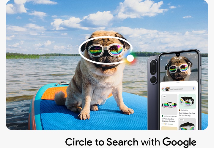 바다 위 서핑보드 위에 강아지 한마리가 보입니다. 강아지 얼굴 위의 선글라스에 서클을 그리자 갤럭시 점프4에서 자동으로 선글라스 검색을 진행합니다.