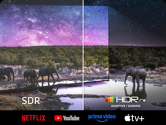 TV 화면 속에서는 코끼리가 보입니다. 왼쪽 하단에는 SDR 문구가 오른쪽 하단에는 HDR10+ 로고가 보입니다.