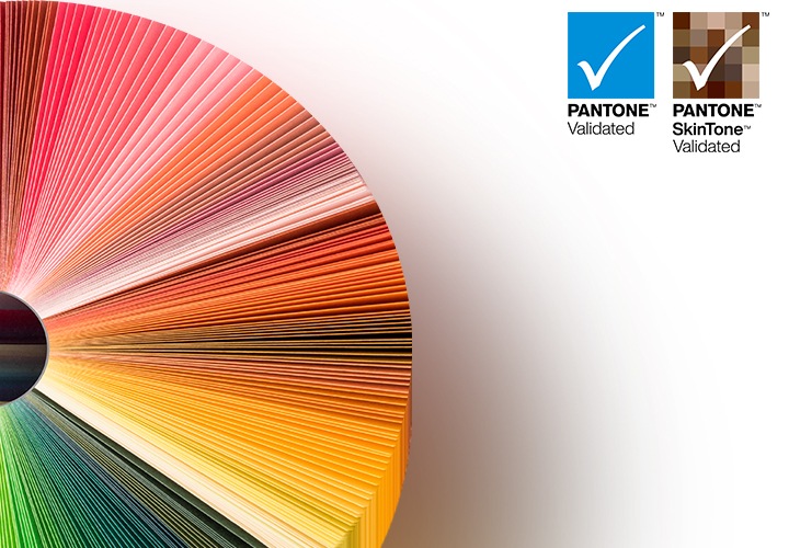 팬톤 컬러칩 가이드 묶음이 놓여있습니다