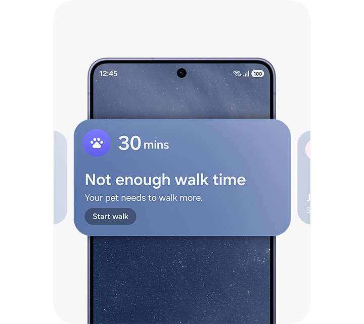 갤럭시 S26 울트라 화면에 Now Brief의 2가지 위젯이 표시되어 있습니다. 하나는 반려 동물이 충분한 산책 시간을 갖지 못했음을 알려주고, 다른 하나는 누군가의 생일임을 알려줍니다.