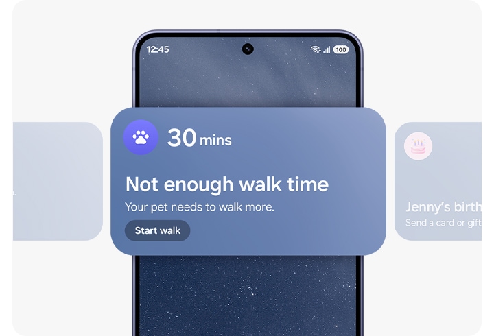 갤럭시 S26+ 화면에 Now Brief의 2가지 위젯이 표시되어 있습니다. 하나는 반려 동물이 충분한 산책 시간을 갖지 못했음을 알려주고, 다른 하나는 누군가의 생일임을 알려줍니다.